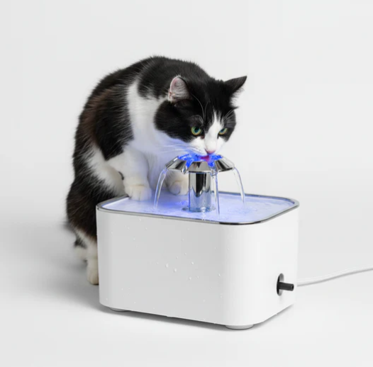 Fuente Automática de Agua para Gatos y Perros 2,4L con Luz LED y 5 Filtros de Repuesto USB